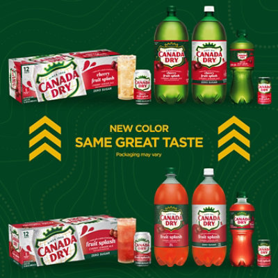 Canada Dry Fruit Splash - 2 Liter - Image 2