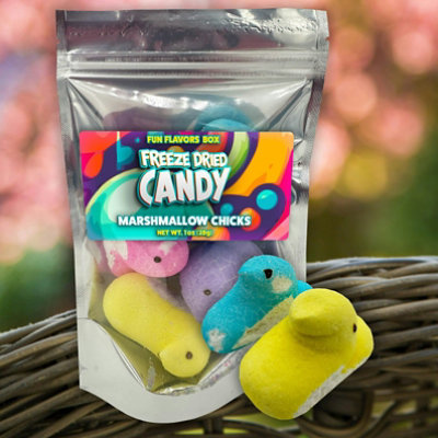 Fun Flavors Box Freeze Dried Candy Marshmallow Chicks  Crispy Treats, 1 oz - Image 2