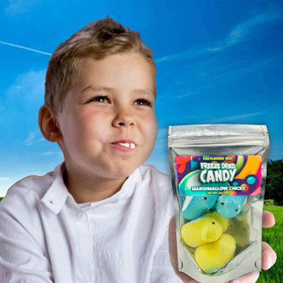 Fun Flavors Box Freeze Dried Candy Marshmallow Chicks  Crispy Treats, 1 oz - Image 3