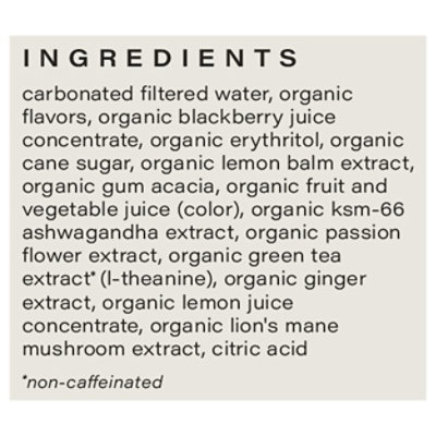 Hiyo Seltzer Blackberry Lemon - 12 Fl.Oz. - Image 4