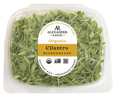 Cilantro Microgreens Organic - 1.75 Oz - Image 1