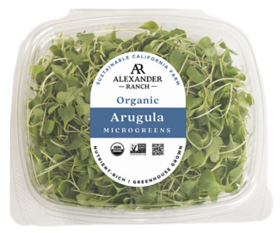 Arugula Microgreens Organic - 1.75 Oz - safeway