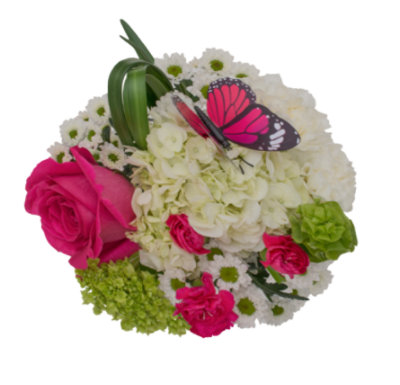 Butterfly Joy Bouquet - Each - Image 1