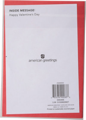 American Greetings Brush Stroke Valentine's Day Card - Each - Image 4