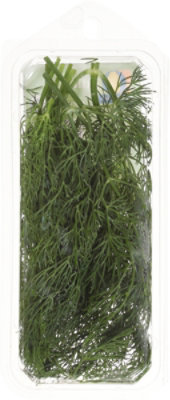 O Organics Dill Fresh - 0.5 Oz - Image 4