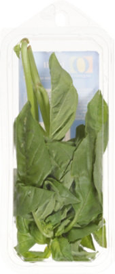 O Organics Basil Fresh - 0.5 Oz - Image 4