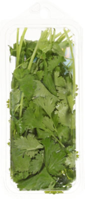 O Organics Cilantro Fresh 0.5 Ounce - .5 OZ - Image 4