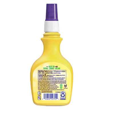 I Cant Believe Its Not Butter Garlic Spray - 8 Oz - Image 6
