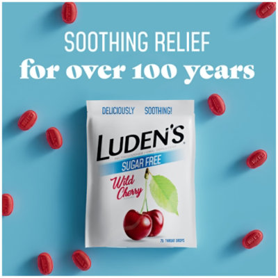 Ludens Sugar Free Bag 75ct - 75 CT - Image 3
