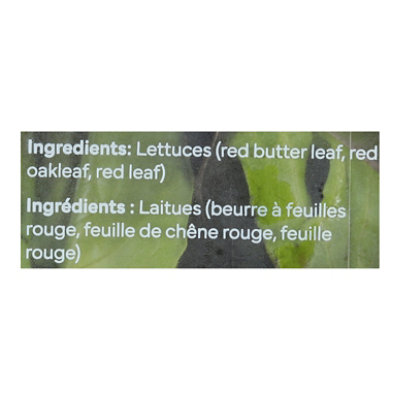 Sensei Farms Lettuce Red Blend - 5 OZ - Image 4