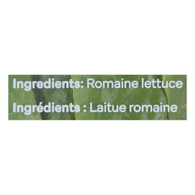 Sensei Farms Romaine Lettuce 5oz - 5 OZ - Image 4