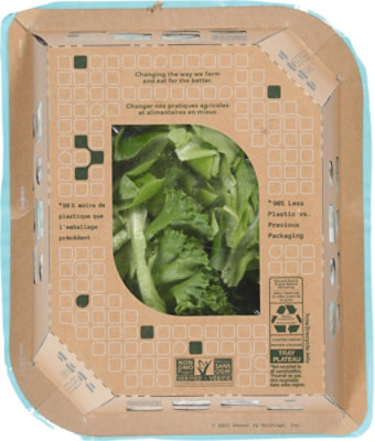 Sensei Farms Green Blend Lettuce 5oz - 5 OZ - Image 5