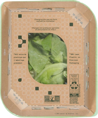 Sensei Farms Green Butter Lettuce 5oz - 5 OZ - Image 5