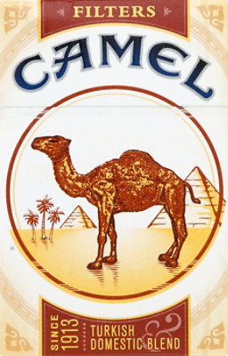 Camel Filter Box Fsc Cigarettes - CTN - Image 2