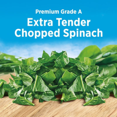 Birds Eye Steamfresh Chopped Spinach Frozen Vegetables 10.800 Oz - 10.8 OZ - Image 2