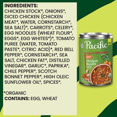 Pacific Foods Organic Spicy Chicken Noodle Soup, 16.1 Oz Can - 16.1 OZ - Image 5