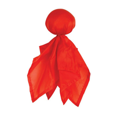 Beistle - Challenge Flag - 12 Pack - Image 1