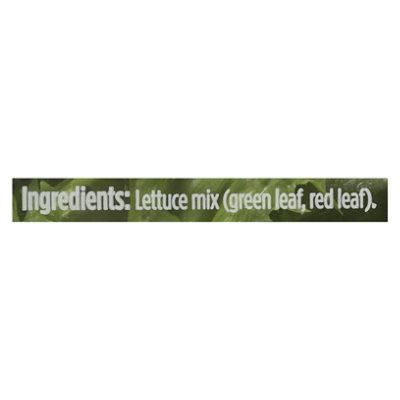 Backyard Farms Red & Green Leaf 4oz - 4 OZ - Image 4