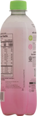 Harmless Harvest Organic Sparkling Coconut Water - 16 Fl. Oz. - Image 4