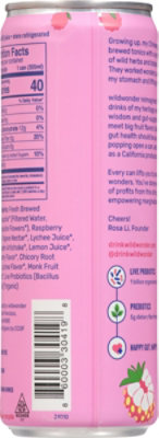 Wildwonder Raspberry Lychee Sparkling Prebiotic - 12 FZ - Image 6