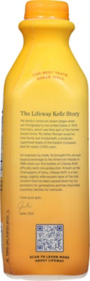 Lifeway Kefir Seasonal - 32 FZ - Image 5