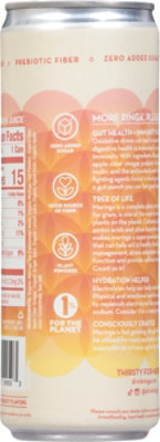 Ringa Lemon & Ginger Infusion 12fz - 12 FZ - Image 5