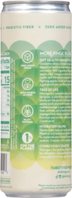 Ringa Cucumber & Mint Infusion 12fz - 12 FZ - Image 5