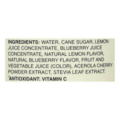 Sunpax Blueberry Lemonade 16fz - 16 FZ - Image 4