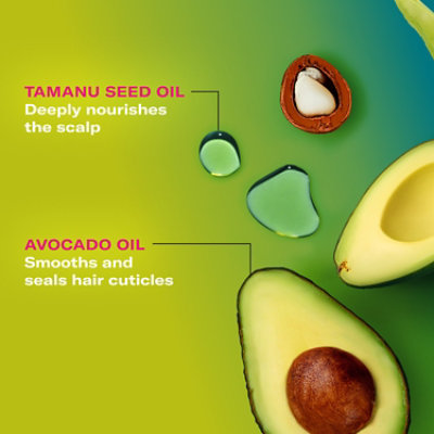 Ehc Mielle Avocado&tamanu Anti-frizz Sha - 12 FZ - Image 4