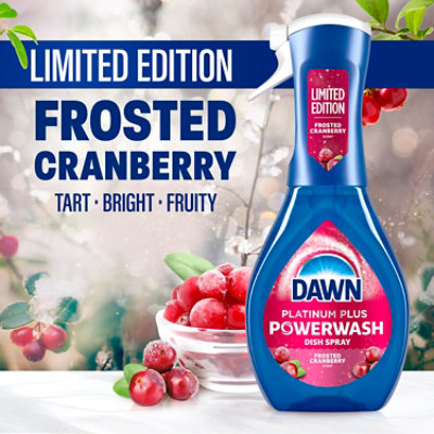 Dawn Powerwash Frosted Cranberry - 16 FZ - Image 4