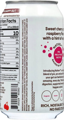 Live Soda Spicy Cherry Berry - 12 FZ - Image 5