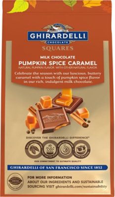 Ghir Milk Choc Pumpkin Spice - 9 OZ - Image 6