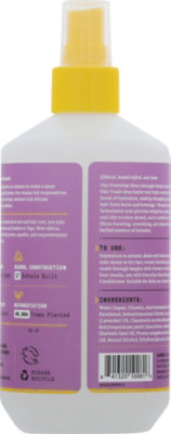 Alaffia Everyday Lavender Shea Detangler Spray - 12 OZ - Image 5