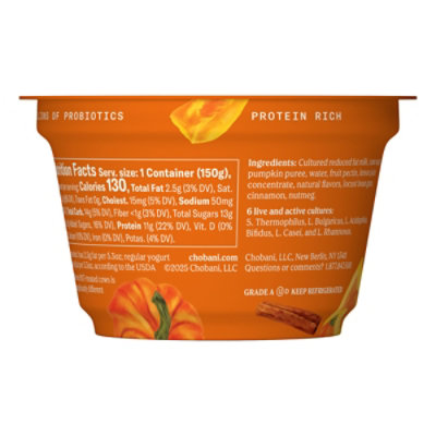 Chobani Lowfat Greek Yogurt Limited Batch Pumpkin Spice Blended 5.3oz - 5.3 OZ - Image 5