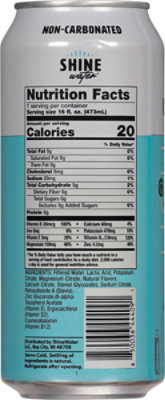 Shinewater Coconut Lime 16fz - 16 FZ - Image 5