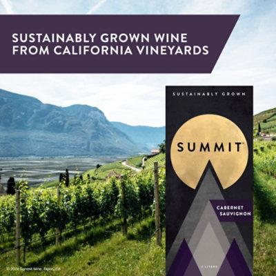 Summit Cabernet - 3 LT - Image 4