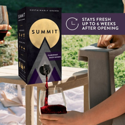 Summit Cabernet - 3 LT - Image 3