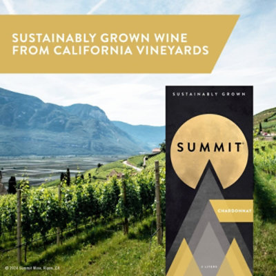 Summit Chardonnay - 3 LT - Image 4