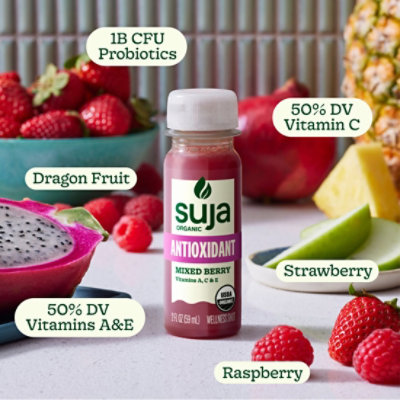 Suja Antioxidant Shot Mixed Berry 2fz - 2 FZ - Image 3