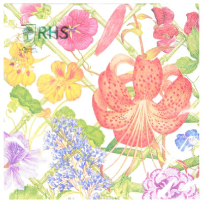 Floral Trellis Luncheon Napkin - EA - Image 1