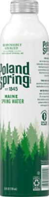 Poland Spring Water Aluminum Bottle 25fz - 25 FZ - Image 3