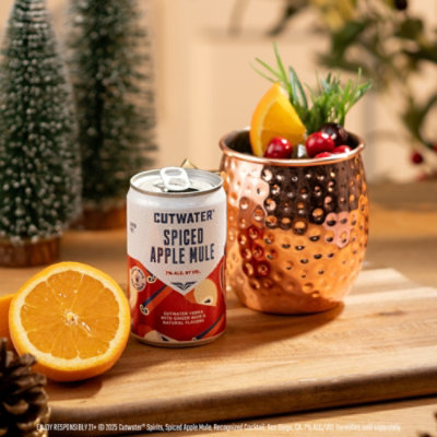 Cutwater Fireside Variety Pack - 12-7 FZ - Image 5