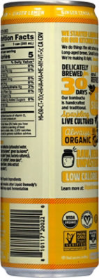 Liquid Remedy Ginger Lemon 12fz - 12 FZ - Image 5