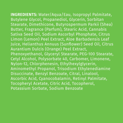 Limited Edition Pumpkin Spice & Vanilla Chai Herbal Body Moisturizer 17 Fl Oz - 17 FZ - Image 6