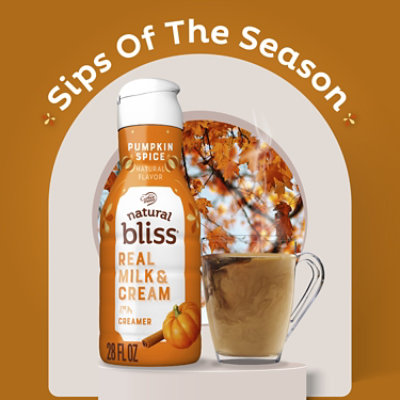 Nestle Coffee Mate Natural Bliss Pumpkin Spice 28floz - 28 FZ - Image 3