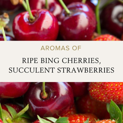 Wente Vyds P Noir Baily Hill 750 Ml - 750 ML - Image 2