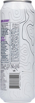 One Tree Hard Cider Huckleberry 19.2 Fl Oz Can - 19.2 FZ - Image 6