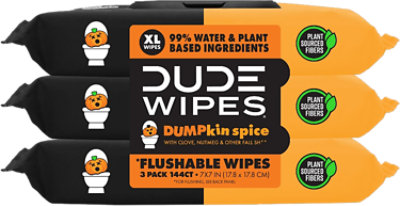 Dude Wipes Dumpkin Spice - 3-48 CT - Image 1