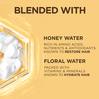 Garnier Whole Blends Honey Water Moisture Restoring Conditioner Dry Hair - 12.5 Fl. Oz. - Image 4