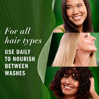 Herbal Essences Pureplants Hair Treatments All Forms Leave In All Forms - 6 FZ - Image 7
